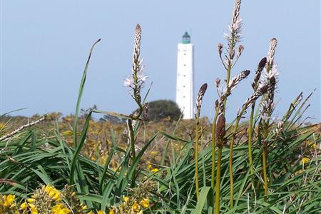 Le Grand Phare de l'Ile d'Yeu - Hôtel des Voyageurs, hôtel de charme avec chambres vue mer sur le Port Joinville - Ile d'Yeu - Vendée