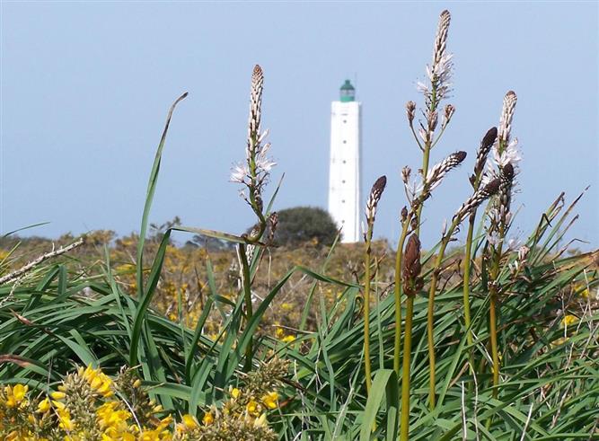 Le Grand Phare de l'Ile d'Yeu - Hôtel des Voyageurs, hôtel de charme avec chambres vue mer sur le Port Joinville - Ile d'Yeu - Vendée